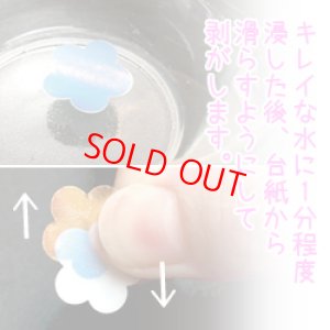 画像4: ダイクロスライド コッパゴールド (4)