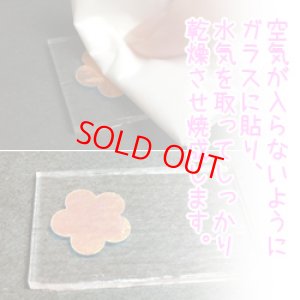 画像5: ダイクロスライド コッパゴールド (5)