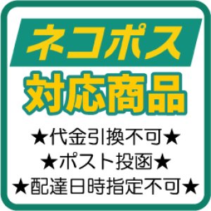 画像2: ブルズアイ 0013 オパックホワイト【10cm角 2mm不透明】 (2)