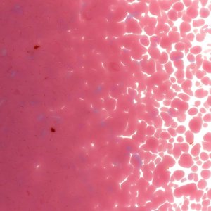 画像2: 【中フリット50g】  0301 Pink (2)