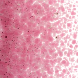 画像2: 【中フリット50g】  1215 Light Pink (2)