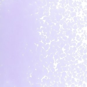 画像2: 【中フリット50g】  0142 Neo-Lavender (2)