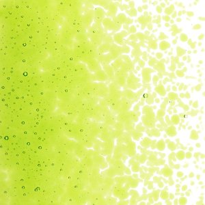 画像2: 【中フリット50g】  1426 Spring Green (2)