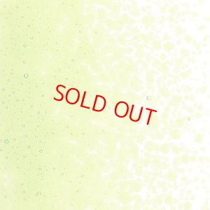 画像2: 【中フリット50g】  1426 Spring Green (2)