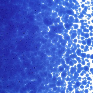 画像2: 【中フリット50g】  1114 Deep Royal Blue (2)