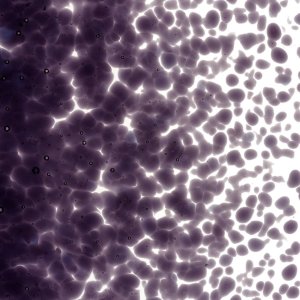 画像2: 【中フリット50g】   1128 Deep Royal Purple (2)