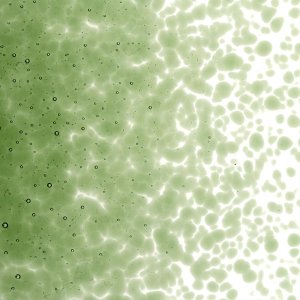 画像2: 【中フリット50g】  1141 Olive Green (2)