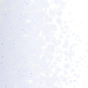 画像2: 【中フリット50g】 1842 Light Neo-Lavender Tint (2)