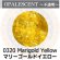画像1: 【中フリット50g】  0320 Marigold Yellow (1)