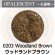 画像1: 【細フリット50g】  0203 Woodland Brown (1)