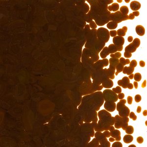 画像2: 【粗フリット50g】  0203 Woodland Brown (2)