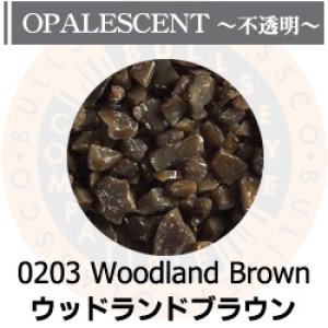 画像1: 【粗フリット50g】  0203 Woodland Brown (1)