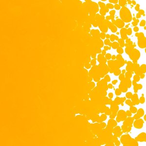 画像2: 【粗フリット50g】  0320 Marigold Yellow (2)