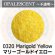 画像1: 【細フリット50g】  0320 Marigold Yellow (1)