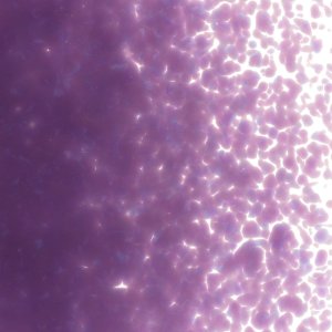 画像2: 【中フリット50g】  0334 Gold Purple (2)