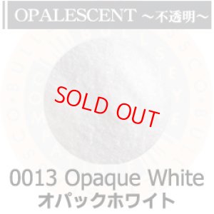 画像2: 【細フリット50g】 0013 Opaque White (2)