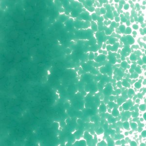 画像2: 【中フリット50g】  0144 Teal Green (2)