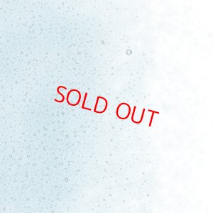 画像2: 【細フリット50g】  1406 Steel Blue (2)