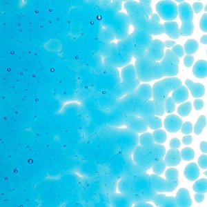 画像2: 【粗フリット50g】  1116 Turquoise Blue (2)