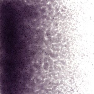 画像2: 【細フリット50g】   1128 Deep Royal Purple (2)