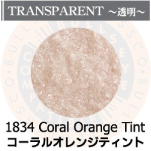 画像1: 【細フリット50g】  1834 Coral Orange Tint (1)