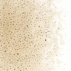 画像2: 【細フリット50g】  1409 Light Bronze (2)