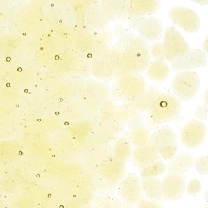 画像2: 【粗フリット50g】  1437 Light Amber (2)