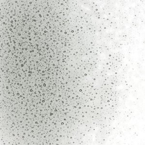 画像2: 【細フリット50g】  1429 Light Silver Gray (2)