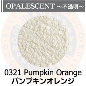 画像1: パウダー50g 0321 Pumpkin Orange (1)