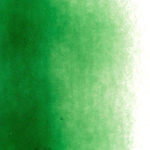 画像2: パウダー50g 1145 Kelly Green (2)