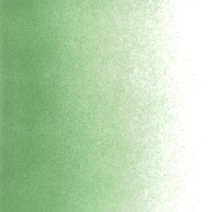 画像2: パウダー50g 1107 Light Green (2)