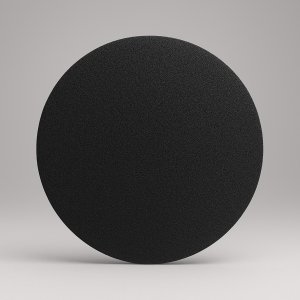 画像1: 8インチ研磨パッド#100（KGS社製） (1)