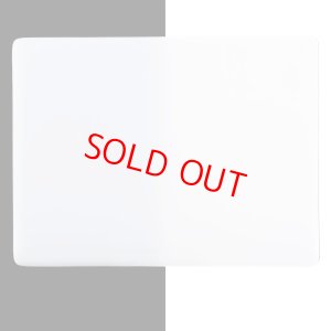 画像1: ブルズアイ 0013 オパックホワイト【20cm角 2mm不透明】 (1)