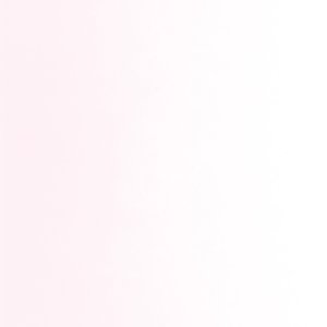 画像1: パウダー50g 1821 Erbium Pink Tint (1)