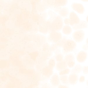 画像1: 【粗フリット50g】  1834 Coral Orange Tint (1)