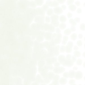 画像1: 【粗フリット50g】  1807 Grass Green Tint (1)