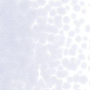 画像1: 【粗フリット50g】 1842 Light Neo-Lavender Tint (1)